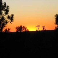 Beavers Bend Cabin February Promotion