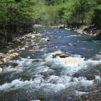 Will my Beavers Bend Cabin be secluded?