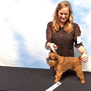 Great Weekend At OKC Toy Dog Show