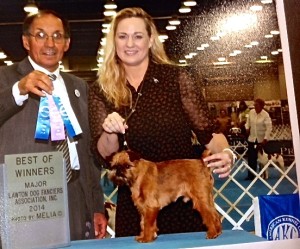 Great Weekend at OKC Toy Dog Show