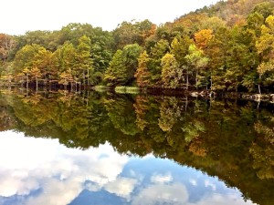 Beavers Bend Cabin Fall Foliage Special