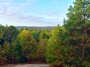 Beavers Bend cabin fall foliage special