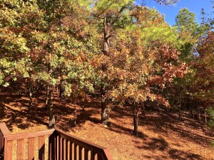 Beavers Bend cabin fall Foliage Special