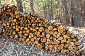 Beavers Bend Firewood Fees