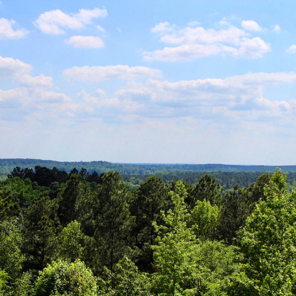 Beavers Bend Cabin Deal Broken Bow Promo Code for Discounted Cabin